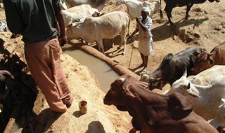 Pastori-nomadi in Etiopia costretti a modernizzarsi, le ONG indagano