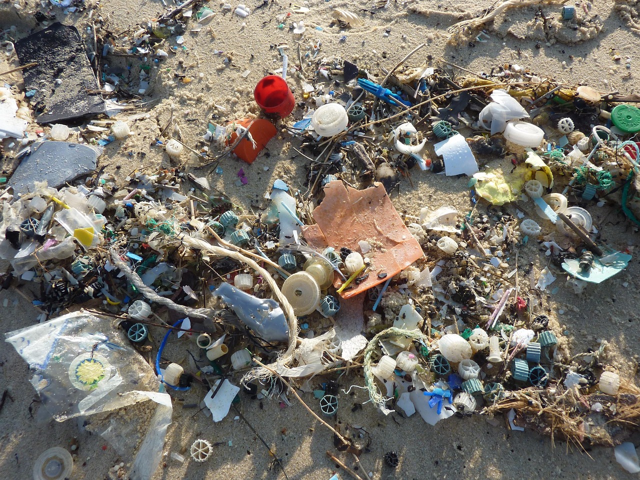 Plastica nel Mediterraneo, costa toscana la più colpita