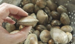 Mari “acidi” per troppa CO2, a rischio la produzione di molluschi